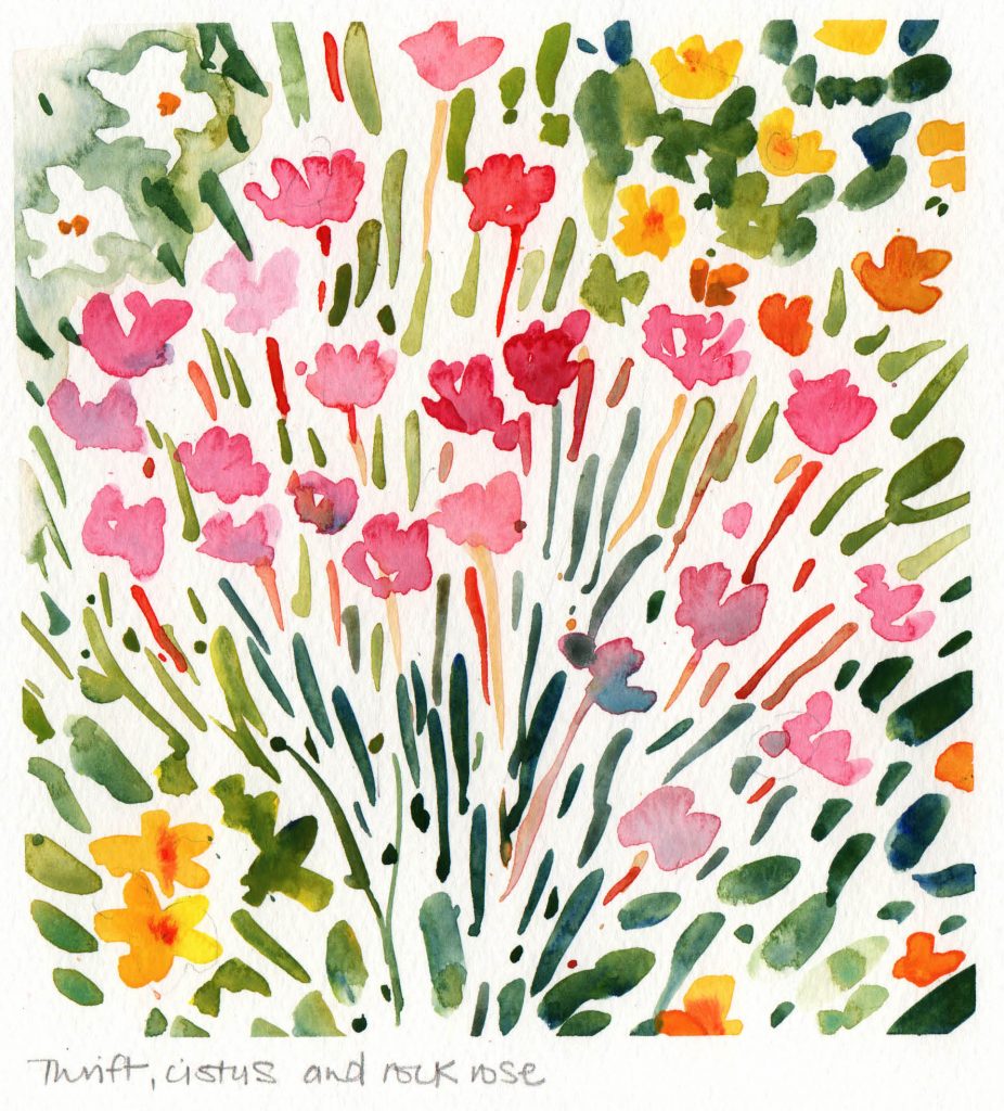 Watercolour painting of wild flowers