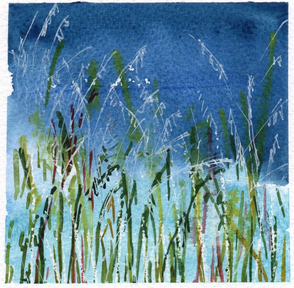 Watercolour painting of grasses against a blue sky