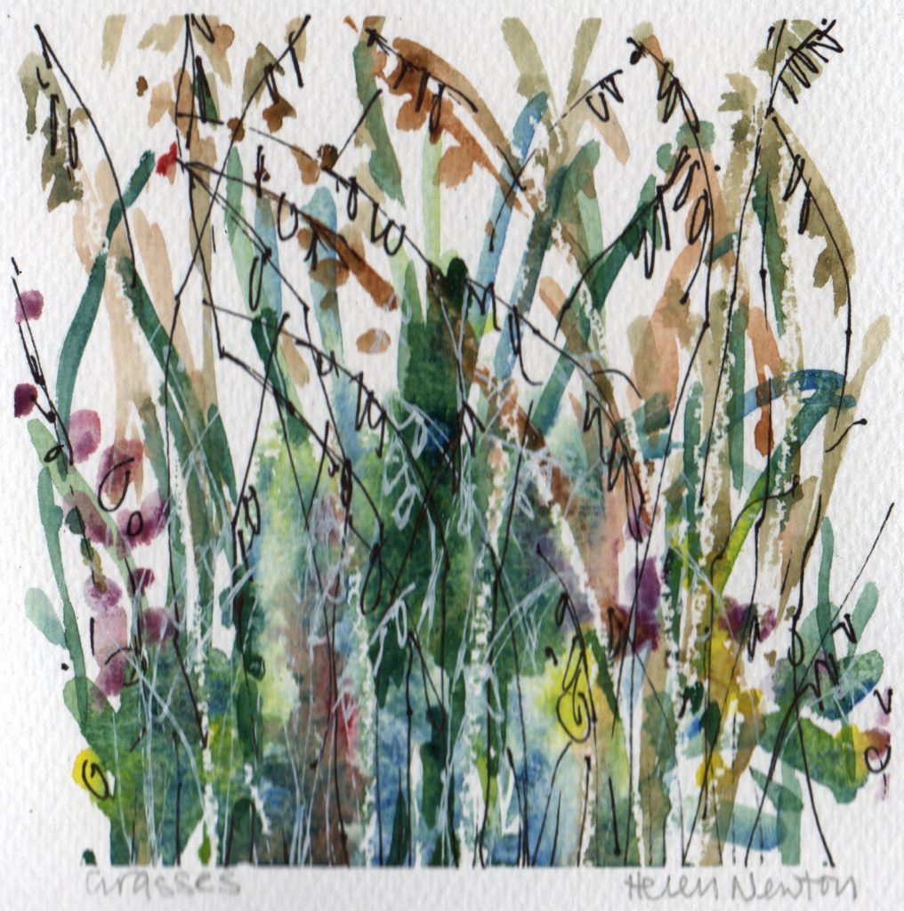 Watercolour painting of grasses: leaves and seed heads