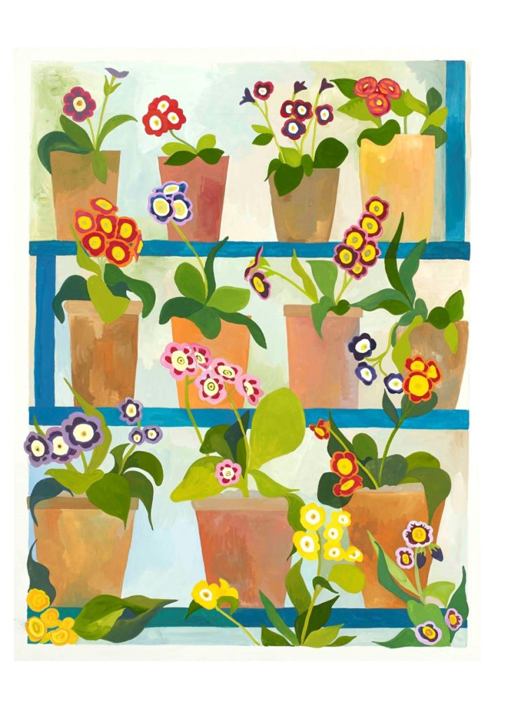 Card of Auricula Theatre, a brightly coloured goucahe painting of auriculas in pots on blue shelves at Calke Abbey.