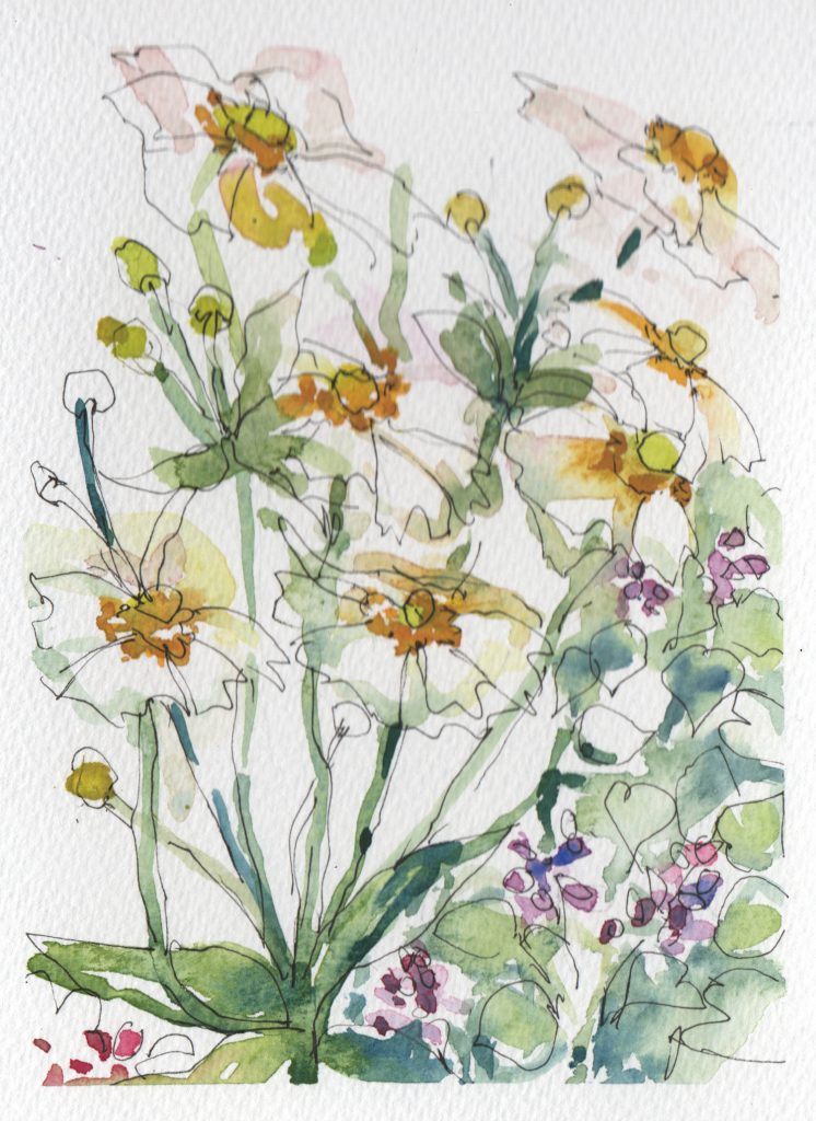 A watercolour painting of white anemone flowers with leaves and buds.