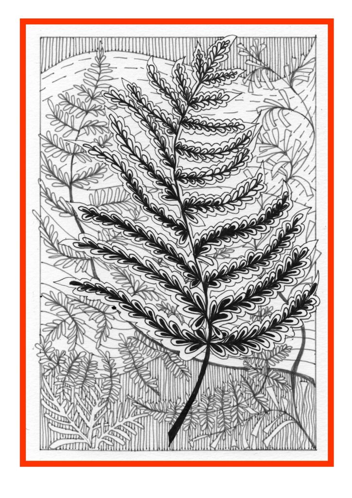 Ink drawing of fern leaves in a red surround.