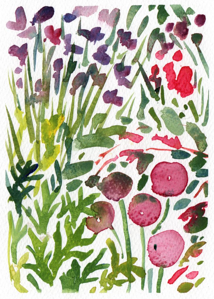 A watercolour of bright purple and pink flowers with green leves.