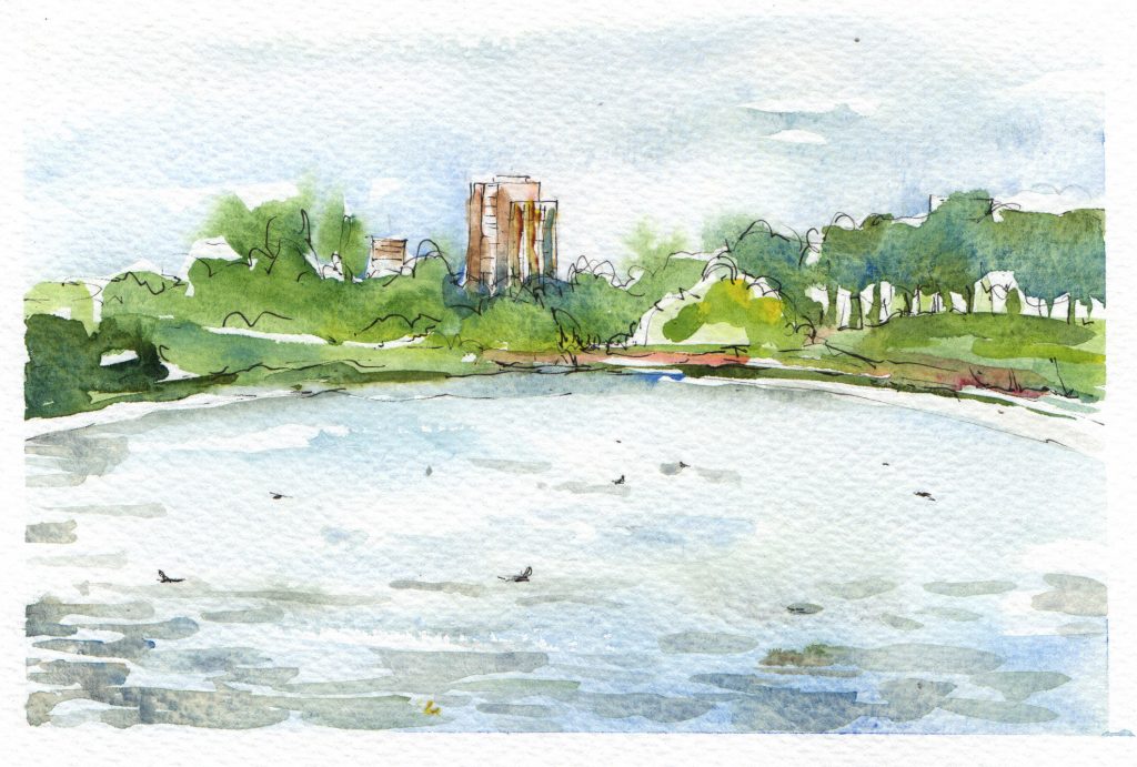 A watercolour of Edgbaston Pool with waterbirds, and trees and buildings in the background.