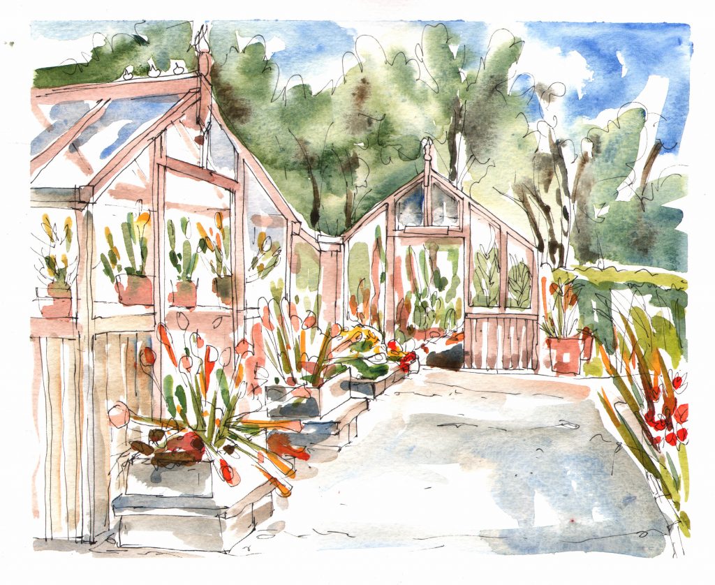 A watercolour of wooden greenhouses with plants visible inside and in containers outside.