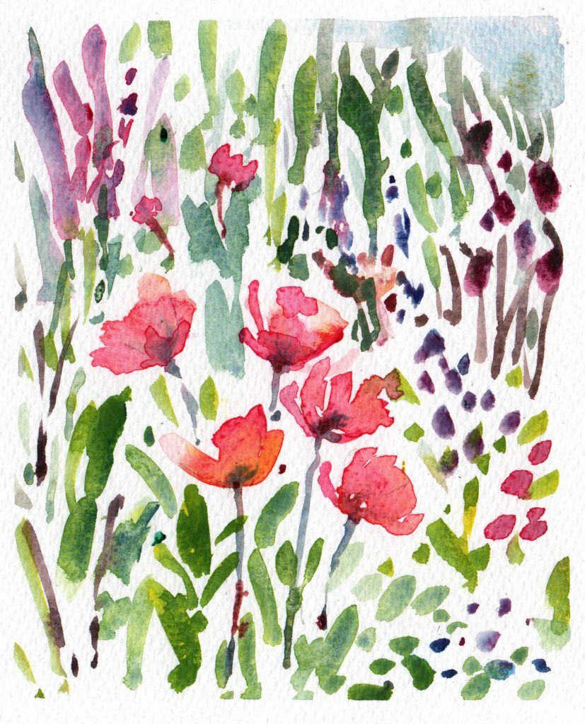 A watercolour of poppies against a background of other flowers and foliage.