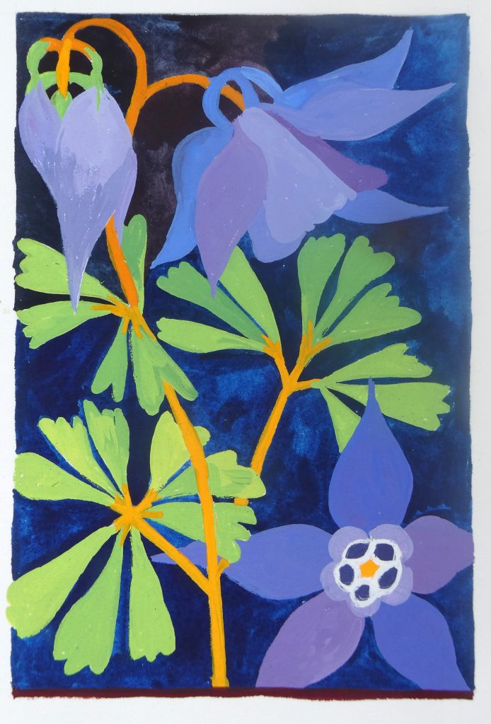 A gouache painting of blue aquilegia flowers against a darker blue background.