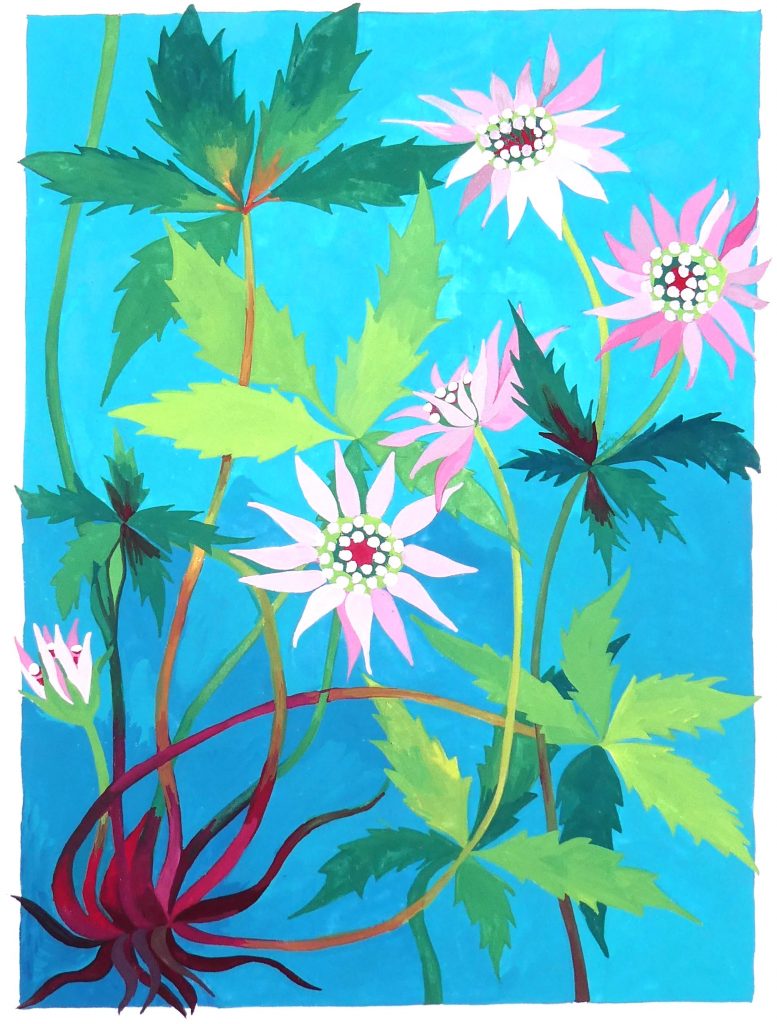 A gouache painting of pink flowers with leaves against a turquoise background.