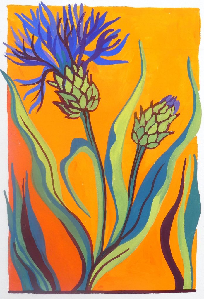 A gouache painting of blue knapweed flowers with leaves against an orange-yellow background.