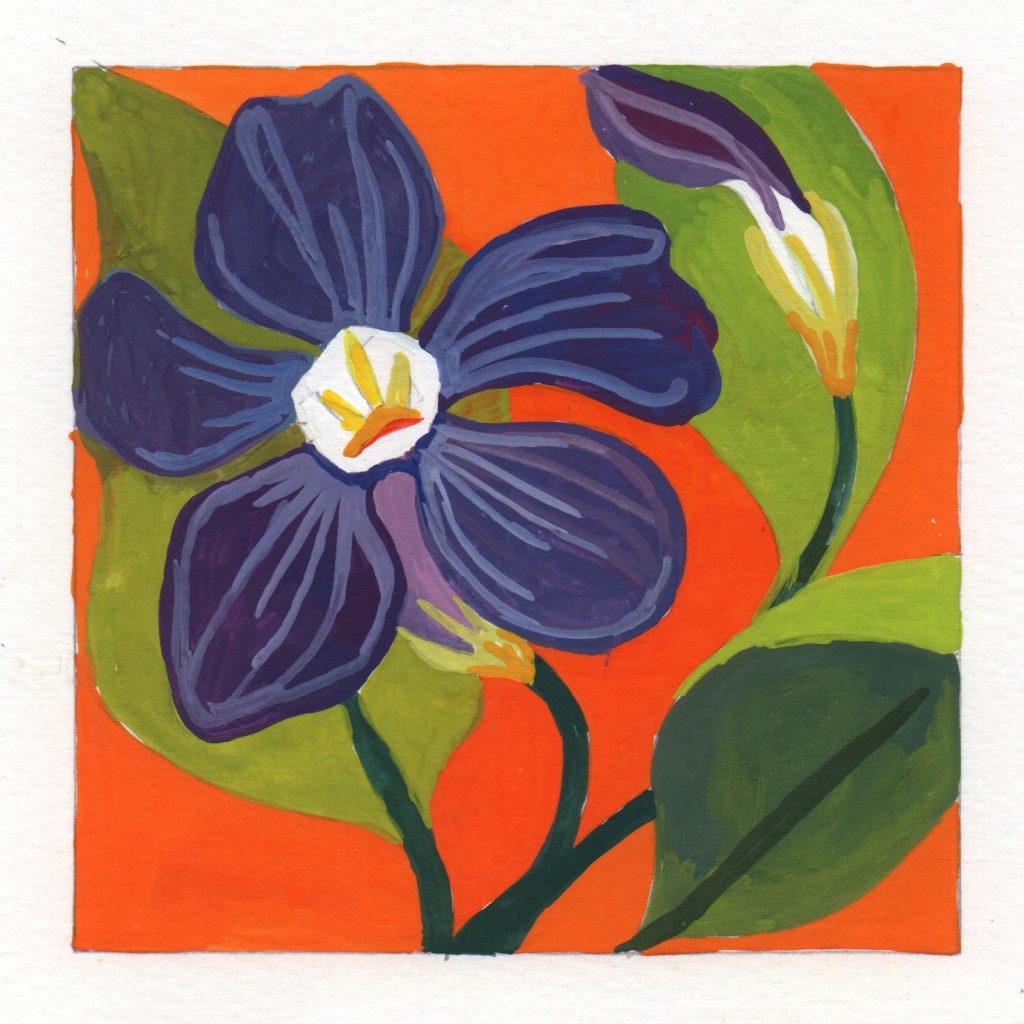 A gouache painting of a deep blue periwinkle flower with a bud and leaves against an orange background.